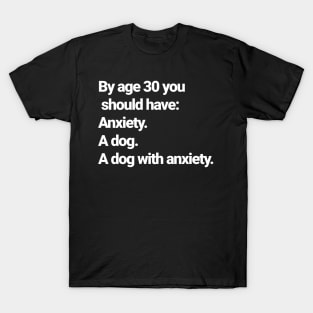 Age 30 checklist, I have one of these.... T-Shirt